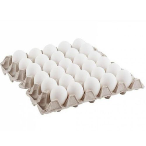Cartón de Huevo TCP MHC
